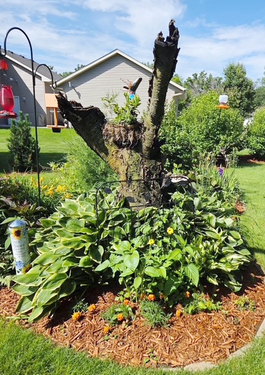 This garden incorporates a tree trunk.