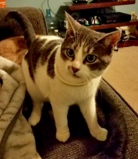 Monty