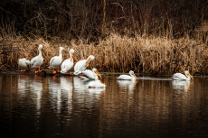 Photo by Ben Threinen